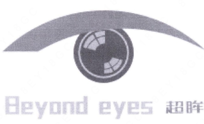 北京畅景立达软件技术有限公司“超眸BEYOND EYES及图”商标注册案例分析